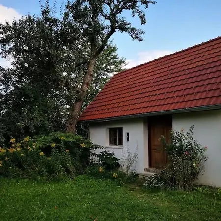 Villa Luxus Mit Grossem Pool Alleinlage Naehe Graz
